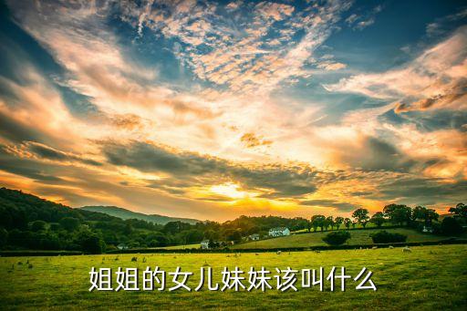 姐姐的女儿妹妹该叫什么