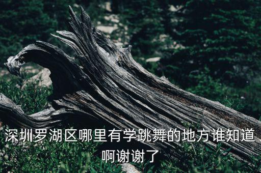 深圳罗湖区哪里有学跳舞的地方谁知道啊谢谢了