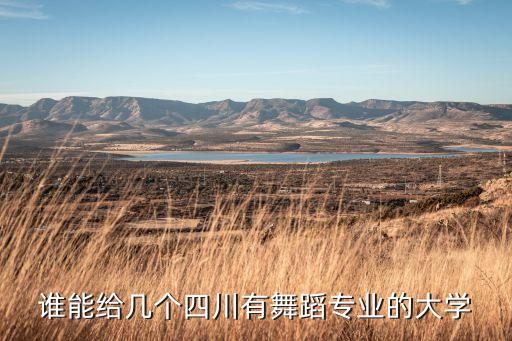 谁能给几个四川有舞蹈专业的大学