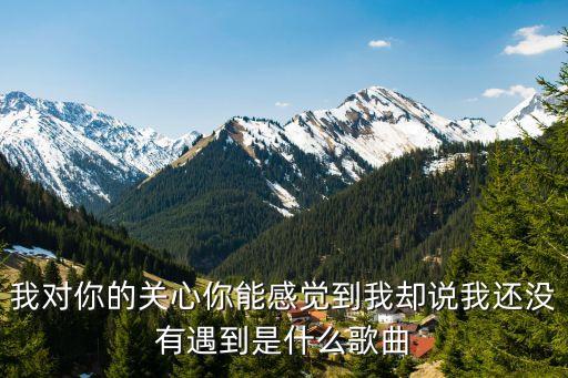 你呀为什么不上线囚鸟，你为什么不上线谁唱的