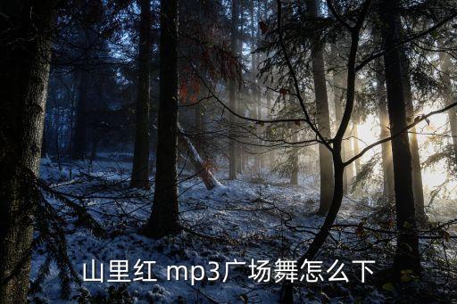 山里红 mp3广场舞怎么下