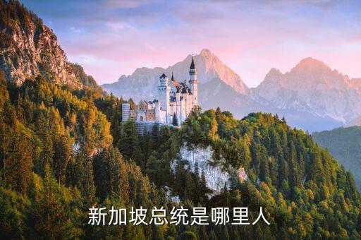 王广成哪里人，新加坡总统是哪里人