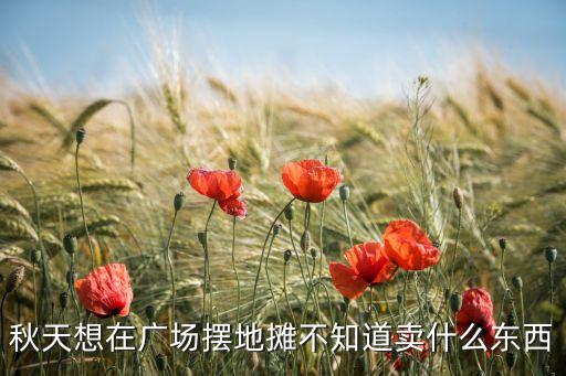 秋天广场适合做什么好，秋天想在广场摆地摊不知道卖什么东西