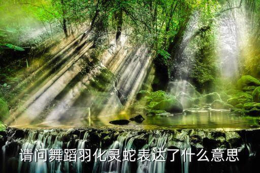 请问舞蹈羽化灵蛇表达了什么意思