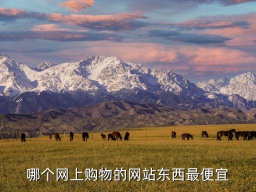 全网下单最便宜的业务网站，上网购物哪个网站最便宜啊
