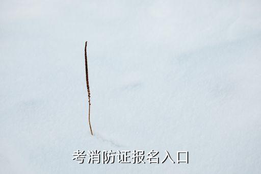 考消防证报名入口