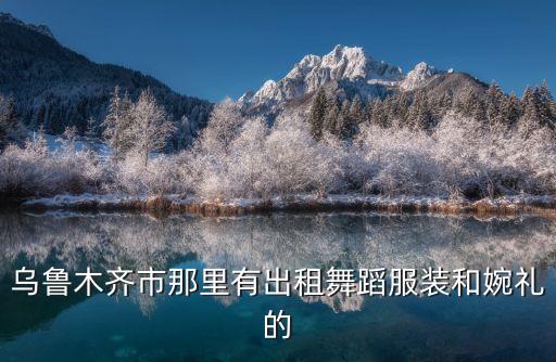 乌市哪里有做民族服装舞蹈服的，乌鲁木齐那有买舞蹈服的