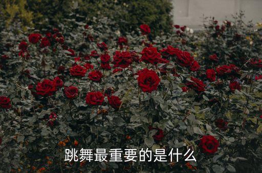跳舞最重要的是什么
