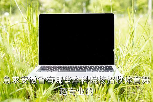 急求安徽省有哪些本科院校招收体育舞蹈专业的