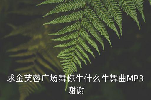 求金芙蓉广场舞你牛什么牛舞曲MP3 谢谢