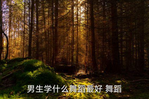 男生学什么舞蹈最好 舞蹈