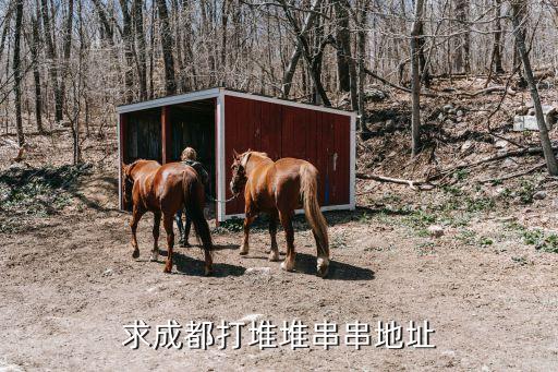 求成都打堆堆串串地址