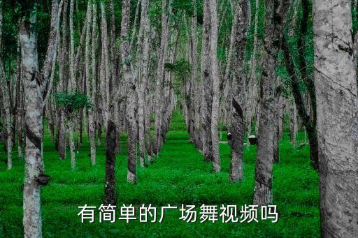 有简单的广场舞视频吗