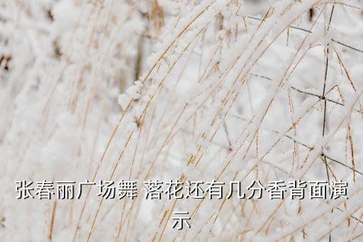 落花适合什么舞蹈视频教学视频教学视频，求推荐舞蹈教学视频