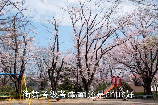 街舞考级考csad还是chuc好