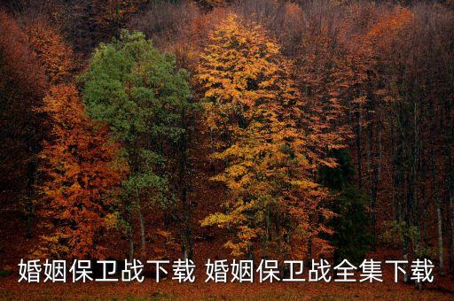 拿什么拴住你的爱情下载，cant help falling your love 谁有这首歌的下载地址啊