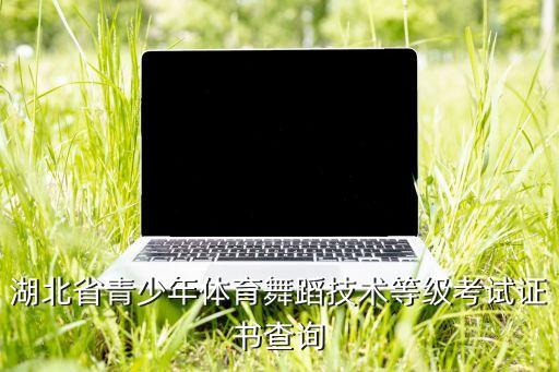 中国舞蹈考级证书查询入口，中国舞蹈家协会证书查询