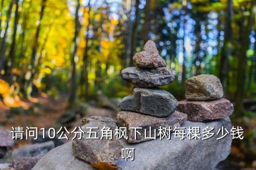 请问10公分五角枫下山树每棵多少钱啊