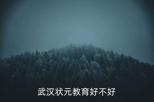 武汉状元教育培训学校怎么样，武汉状元教育好不好