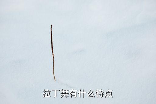 拉丁舞有哪些特点，拉丁舞是什么详细一点