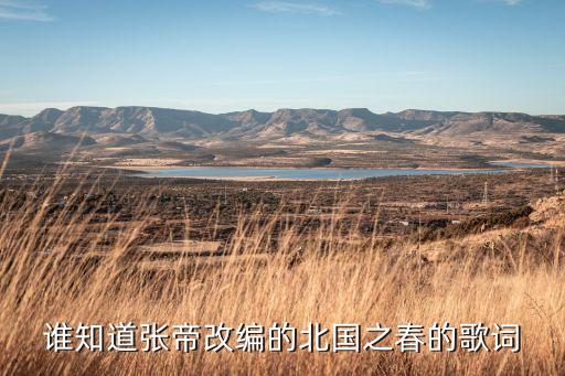 谁知道张帝改编的北国之春的歌词