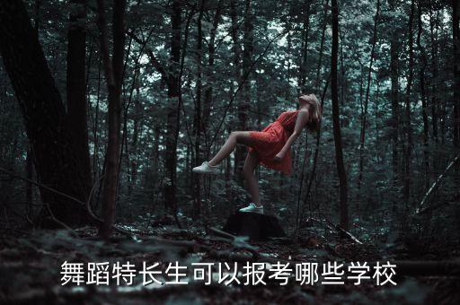 舞蹈生能考的大学有哪些学校，舞蹈专业考什么学校