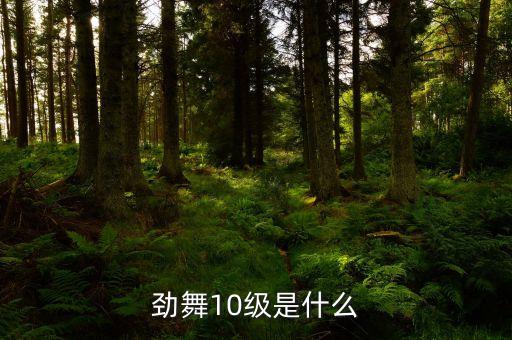 劲舞10级是什么