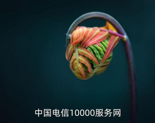 全国诗词大赛官网，中国电信10000服务网