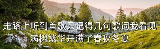 如何下载广场舞万树繁华，走路上听到首歌只记得几句歌词我看见满树繁华开满了春秋冬夏
