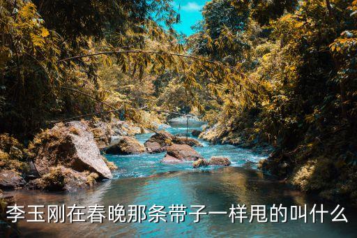 甩腰带的舞是什么舞，李玉刚在春晚那条带子一样甩的叫什么