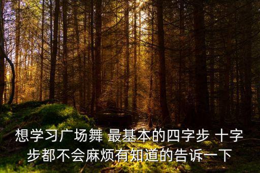 想学习广场舞 最基本的四字步 十字步都不会麻烦有知道的告诉一下
