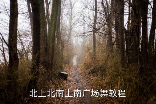 北上北南上南广场舞教程