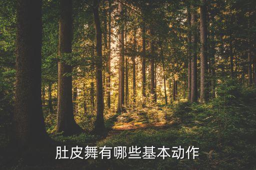 肚皮舞基本功有多少，肚皮舞的基本动作有哪些
