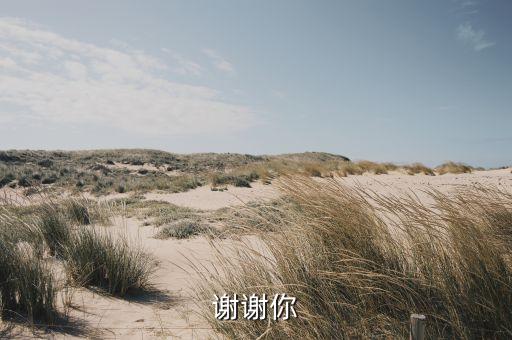 谢谢你