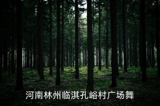 河南林州临淇孔峪村广场舞