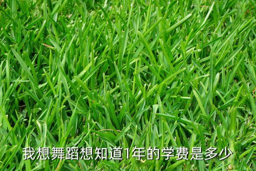 舞蹈班一年多少课程，幼儿舞蹈班一个月上几个课时