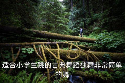 独舞古典舞简单易学，好看易学的古典舞要女子独舞哦
