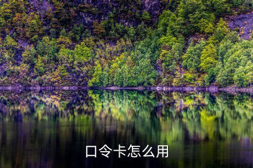 秀美app口令怎么用，手机动态口令是怎么用的我要详细的