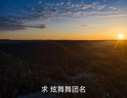舞之恒广场舞，求 炫舞舞团名