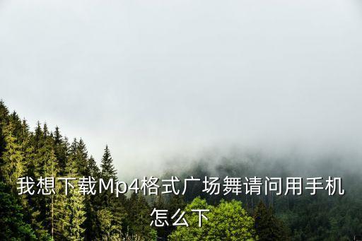 我想下载Mp4格式广场舞请问用手机怎么下
