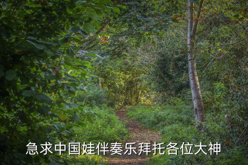 急求中国娃伴奏乐拜托各位大神