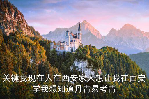 西安丹青易考美术学校文化课，2019年西安丹青易考西安美术学院校考成绩怎么样