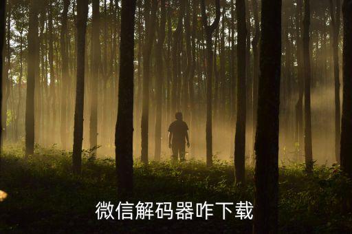 微信解码器咋下载