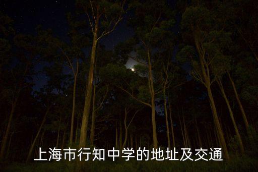 子青路上有什么学校，上海市行知中学的地址及交通