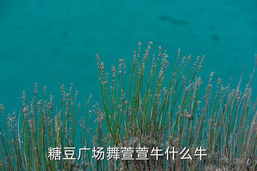 可爱玫瑰你牛什么牛广场舞，广场舞你牛甚么牛mp3