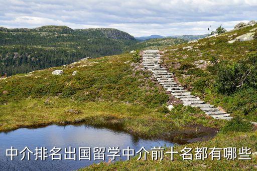 中介排名出国留学中介前十名都有哪些