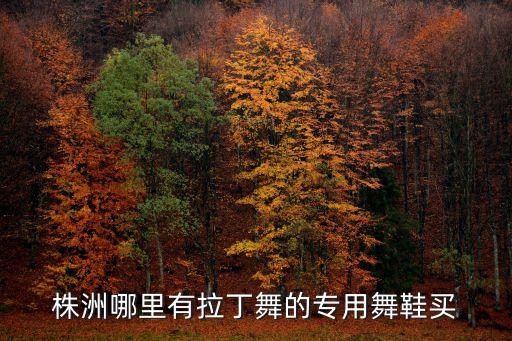 株洲哪里有拉丁舞的专用舞鞋买