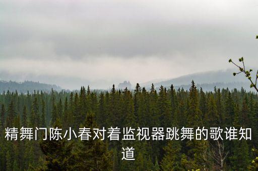 精舞门陈小春对着监视器跳舞的歌谁知道