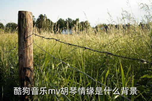 酷狗音乐mv胡琴情缘是什么背景