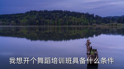 我想开个舞蹈培训班具备什么条件